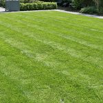 Effortless Lawn Care