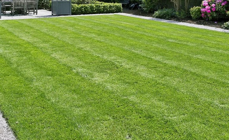 Effortless Lawn Care Tips for Achieving a Pristine Yard with Minimal Work 