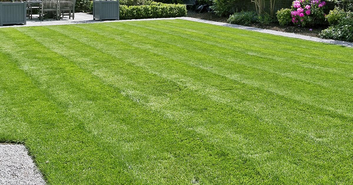 Effortless Lawn Care Tips for Achieving a Pristine Yard with Minimal Work 